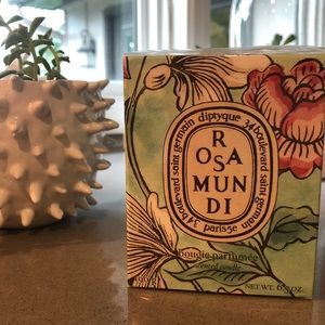 Diptyque Rosa Mundi Candle